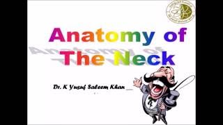 Anatomy  NECK  Complete  Dr Yusuf [upl. by Sillaw]