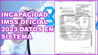 Incapacidad Oficial IMSS México 2025 [upl. by Filide15]