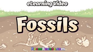 Fossils  eLearning Science Lesson for Kids [upl. by Emerej]