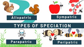 Speciation Allopatric Sympatric Peripatric Parapatric Types of speciation Examples [upl. by Alleuqcaj]