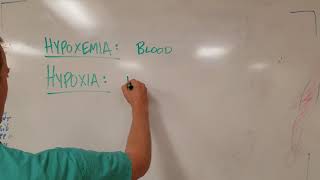 Hypoxia vs Hypoxemia Know the Difference [upl. by Haek176]