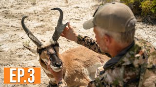 Public Land Pronghorn  Nevada Pronghorn EP 3 [upl. by Claudy918]