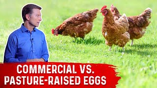 Commercial Eggs vs PastureRaised Eggs – DrBerg [upl. by Budwig]