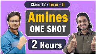 Class 12  Amines in One Shot  NCERT Term2 [upl. by Lirpa]