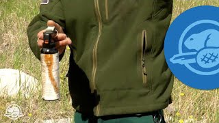 How to Use Bear Spray  Banff National Park [upl. by Arries]