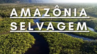 Amazônia Selvagem  Berço da vida  Documentário dublado HD [upl. by Aerehs]