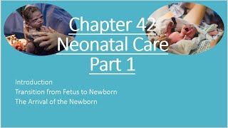 NRP Neonatal Care Part 1 [upl. by Reidar]