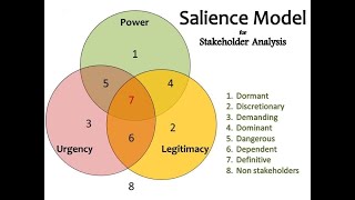 Stakeholder Salience Model [upl. by Kalie]