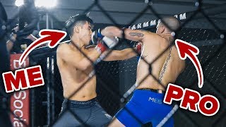 I Trained To Become An MMA Fighter In 4 Months [upl. by Kalman672]