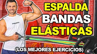 🔴 Los MEJORES Ejercicios BANDAS ELASTICAS  Fortalecer ESPALDA [upl. by Robins300]