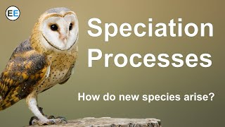 Speciation Processes  How do new species arise [upl. by Aihsas]