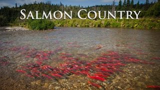 Alaska Salmon Country  Sockeye City [upl. by Nydia]