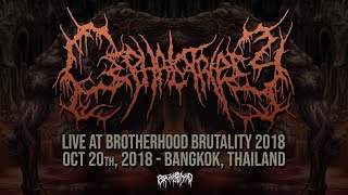 CEPHALOTRIPSY quotLIVE AT BROTHERHOOD BRUTALITY THAILAND 2018quot [upl. by Pammie]