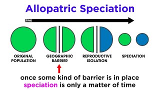 Types of Speciation Allopatric Sympatric Peripatric and Parapatric [upl. by Noxid]