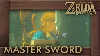 Zelda Breath of the Wild Walkthrough Part 19  Memories amp Master Sword Switch Gameplay [upl. by Langston]