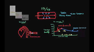 Kan Basıncı Tansiyon Nedir Sağlık Bilgisi ve Tıp Dolaşım Sistemi Fizyolojisi [upl. by Malka]