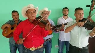 Mix Bailable Música De Cuerda Conjunto Familias Unidas [upl. by Ahsiekrats]