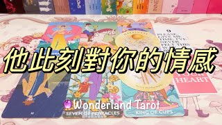 ❤️ 愛情塔羅占卜🔮｜他此刻對你的情感？不限關係｜Tarot Reading Pick A Card Timeless💫 【Wonderland Tarot】 [upl. by Anauqal]