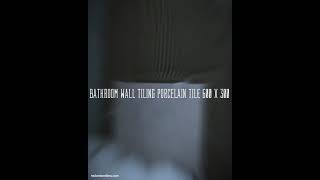 Bathroom Wall Tiling Porcelain Tile 600 x 300 [upl. by Field161]