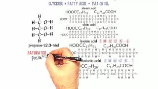 Esters 3 Structure of Fats and Oils [upl. by Busch]