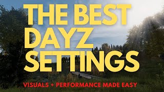 The BEST DayZ settings for Graphics PVP AND Performance 2024 [upl. by Corrinne]