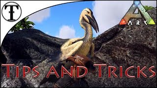 Fast Ichthyornis Taming Guide  Ark  Survival Evolved Tips and Tricks [upl. by Owades876]