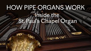 How Pipe Organs Work Inside the St Paul’s Chapel Organ [upl. by Madelin]