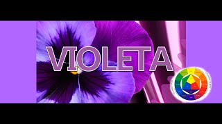 Como saco el Color Morado o Violeta [upl. by Nairahcaz311]