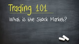 Trading 101 What is the Stock Market [upl. by Senaj536]