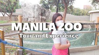 Manila Zoo  Whats new  Travel  Manila Philippines [upl. by Diarmuid]