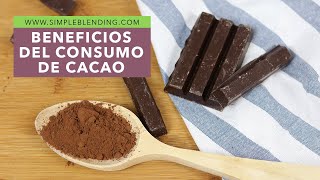 BENEFICIOS DEL CONSUMO DE CACAO  El cacao como superalimento  Por qué consumir cacao [upl. by Aradnahc]