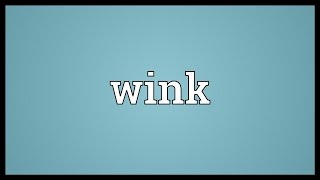 Wink Meaning [upl. by Oiramrej]