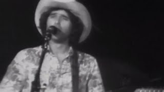 The Commander Cody Band  Down To Seeds And Stems Again Blues  851977 Official [upl. by Kinnon]