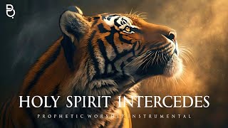 INTERCESSION INSTRUMENTAL  PROPHETIC PRAYER MUSIC [upl. by Mathia689]