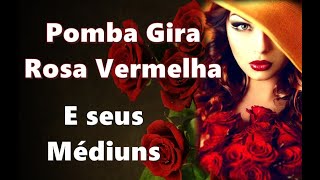 POMBA GIRA ROSA VERMELHA E SEUS MÉDIUNS [upl. by Ahseenal665]