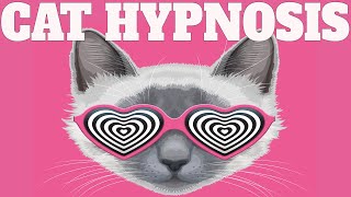 Sound To Calm Cats Within Minutes  Cat Hypnosis [upl. by Druce]