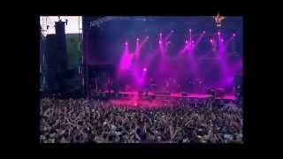 The Offspring  Want You Bad Live Best Performance HD [upl. by Elime]