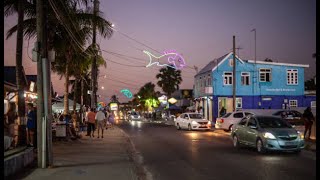 Oistins Fish Fry Barbados🇧🇧 [upl. by Arrotal810]