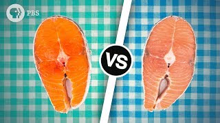 Wild Salmon or Farmed Salmon Which is Better  Serving Up Science [upl. by Rapp]