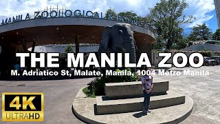 Manila Zoo  Full Walking Tour  4K [upl. by Keegan]