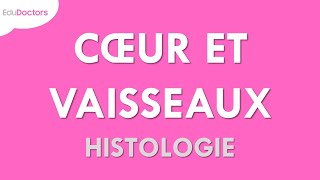 Le système cardiovasculaire  Histologie [upl. by Caasi192]