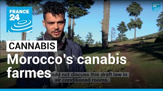 Morocco’s cannabis farmers ‘Poor and living in fear’ • FRANCE 24 English [upl. by Philipines]