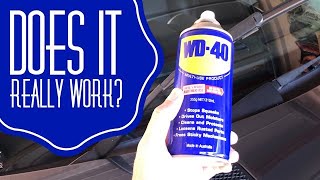 WD40 Hack on Wiper Blades Does it really work [upl. by Artair]