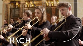 Bach  Sinfonia from Cantata BWV 29  Netherlands Bach Society [upl. by Giliana]