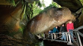 Te Anau Glowworm Caves  Real Journeys New Zealand [upl. by Valry942]