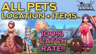 PET CATCHING GUIDE 100 SUCCESS RATE  Ragnarok Mobile Eternal Love [upl. by Heim437]