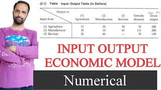 input output economic model numerical [upl. by Alphonsine]