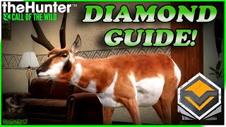 OUTDATED HOW TO FIND DIAMOND PRONGHORN Pronghorn guide [upl. by Sielen]