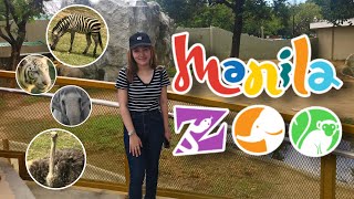 MANILA ZOO 2023 UPDATE Full Walking Tour  Zoo Experience  Philippines VLOG [upl. by Terrel]