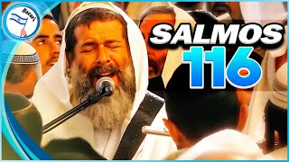 Salmos 116 cantados en la Sinagoga de las Cuevas de los Patriarcas y Matriarcas en Hebron [upl. by Mellitz]